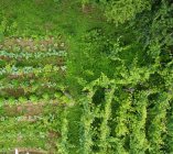 DJI_0042